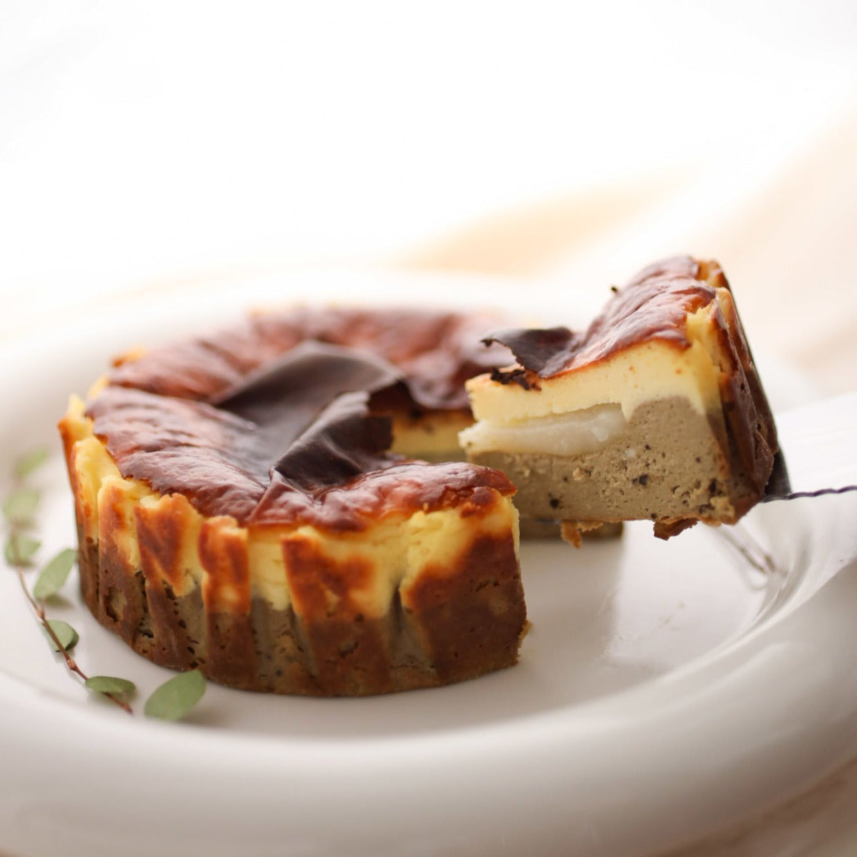 Classic Hojicha: Burnt Basque Cheesecake with Mochi